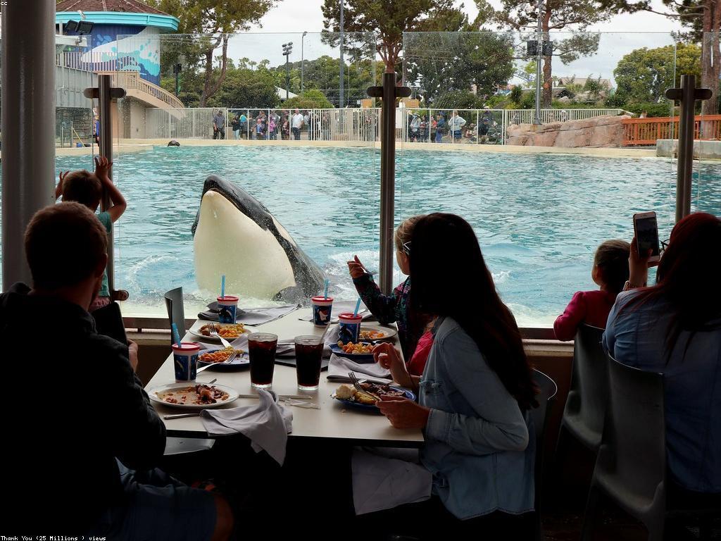 សកម្មភាពពិសេស: ការបង្កើតបទពិសោធន៍មិនធម្មតា