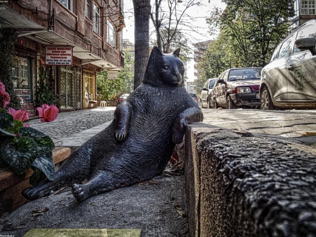 ការផ្តល់ជូនពិសេស: ជម្រើសដ៏អស្ចារ្យសម្រាប់អ្នក